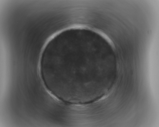 X0000114201327200910091245