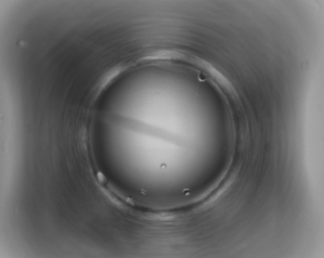 X0000114201329200910091245