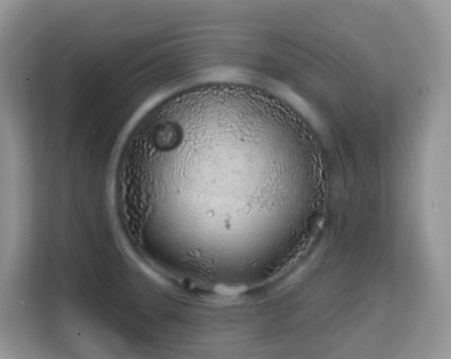X0000114201331200910091245