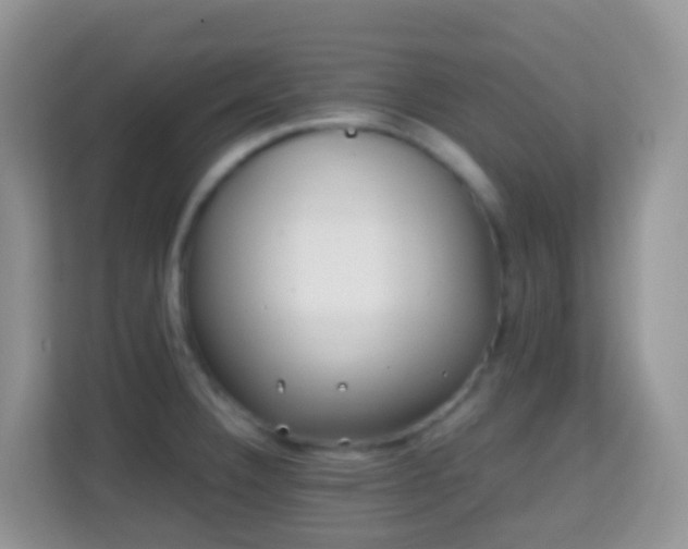 X0000114201332200910091245