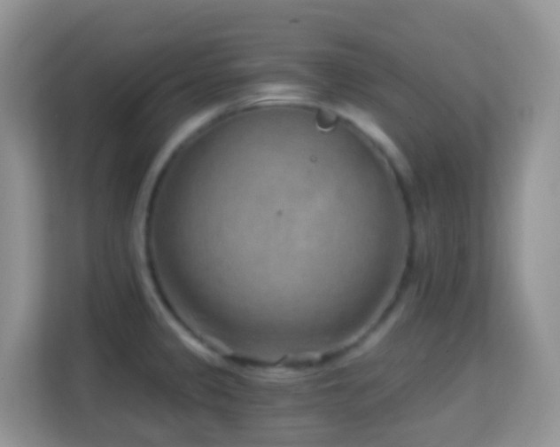 X0000114201333200910091245