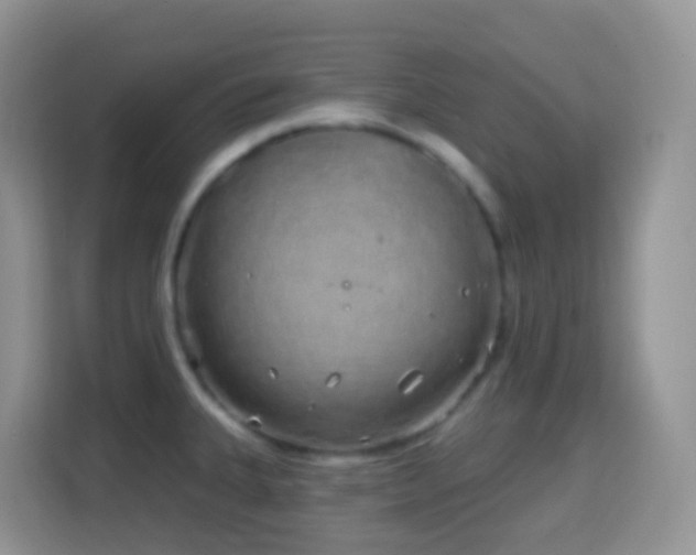X0000114201335200910091245