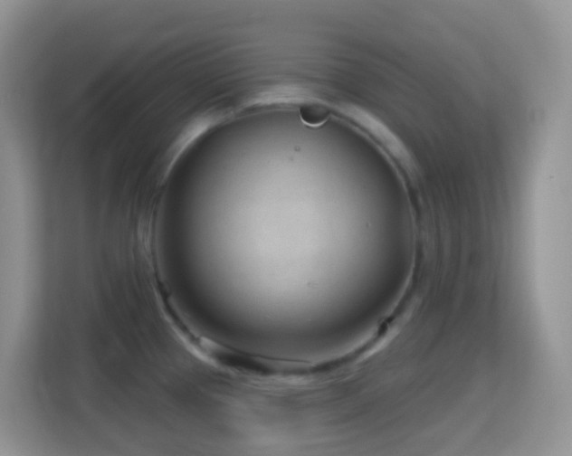 X0000114201337200910091245