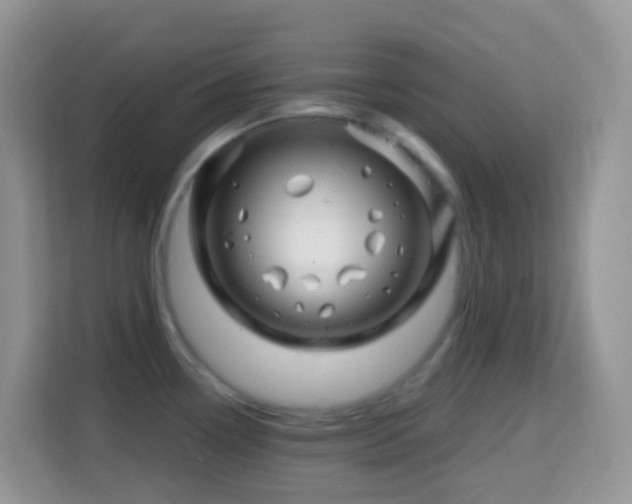 X0000114201338200910091245