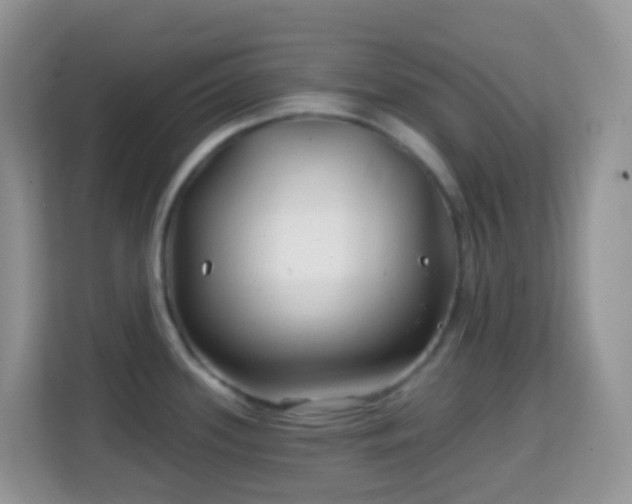 X0000114201339200910091245