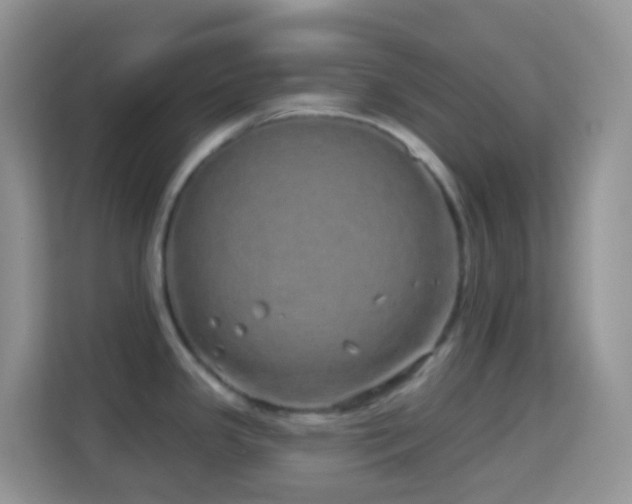X0000114201341200910091245