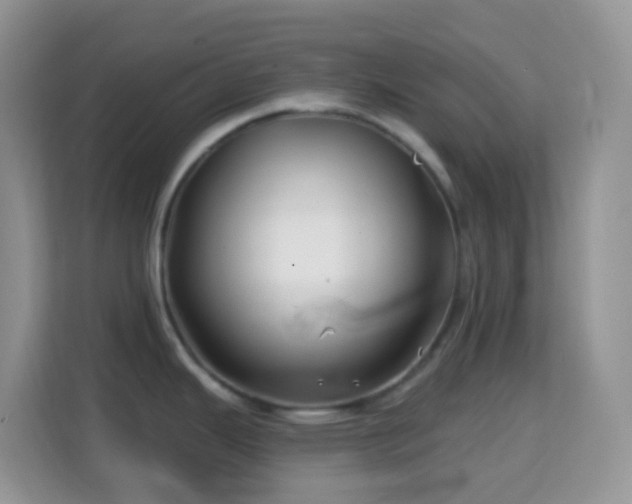 X0000114201343200910091245