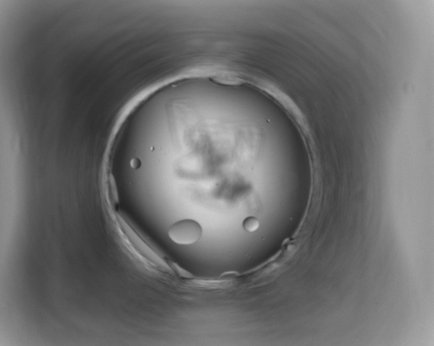 X0000114201344200910091245
