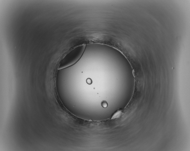 X0000114201345200910091244