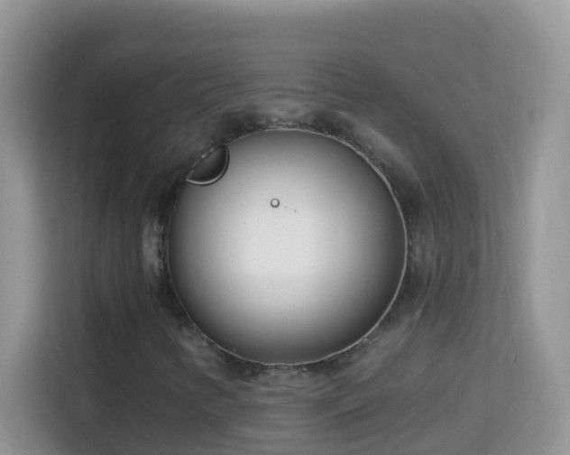 X0000114201346200910091244