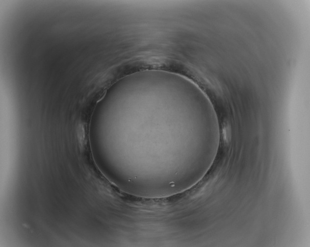 X0000114201347200910091244