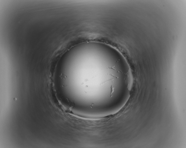 X0000114201349200910091244