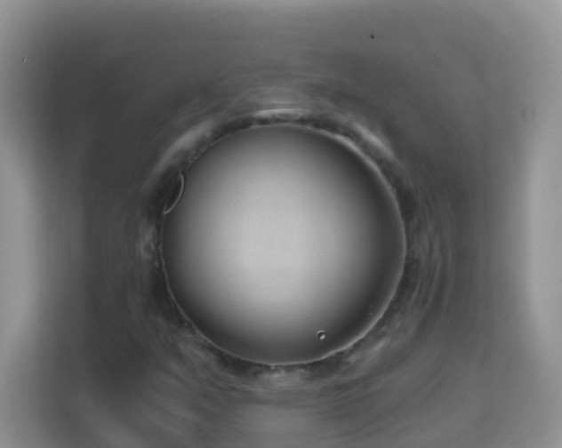 X0000114201351200910091244