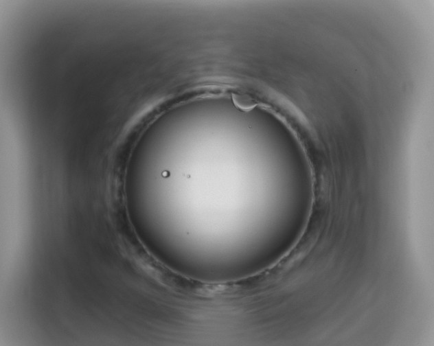 X0000114201352200910091244