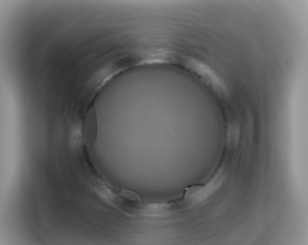 X0000114201353200910091244