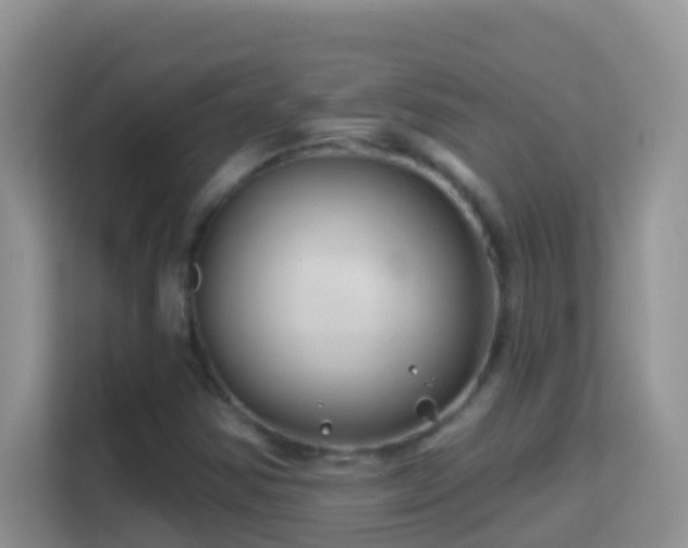 X0000114201354200910091244