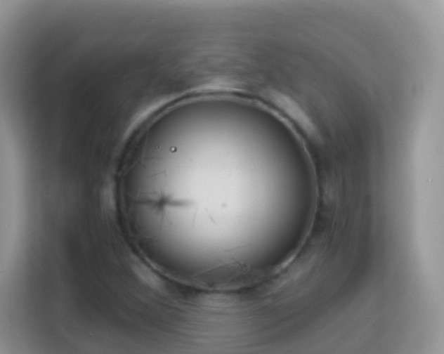 X0000114201356200910091244