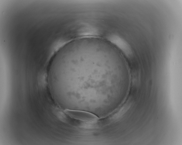 X0000114201357200910091244