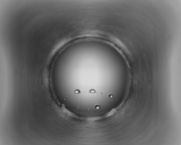 X0000114201360200910091244