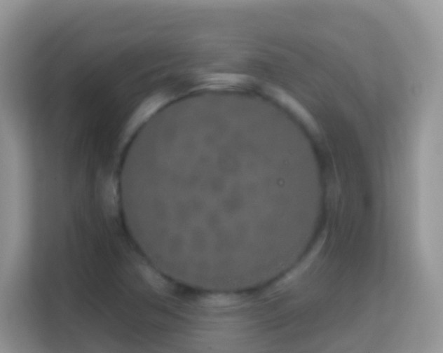 X0000114201362200910091244