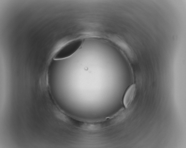 X0000114201365200910091244