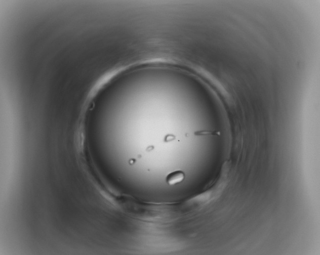 X0000114201367200910091244