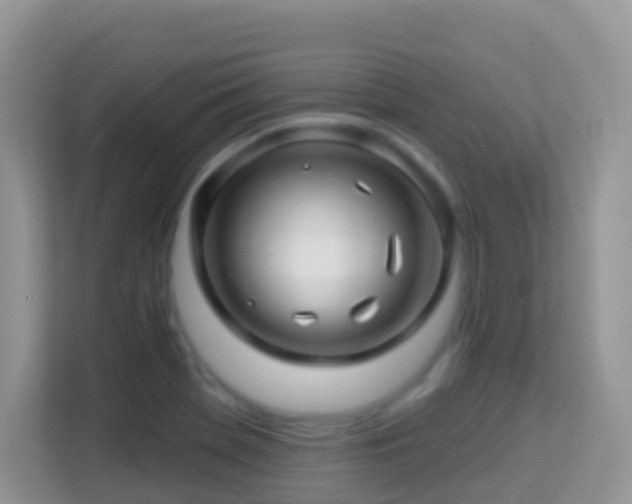 X0000114201369200910091244