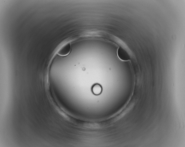 X0000114201370200910091244