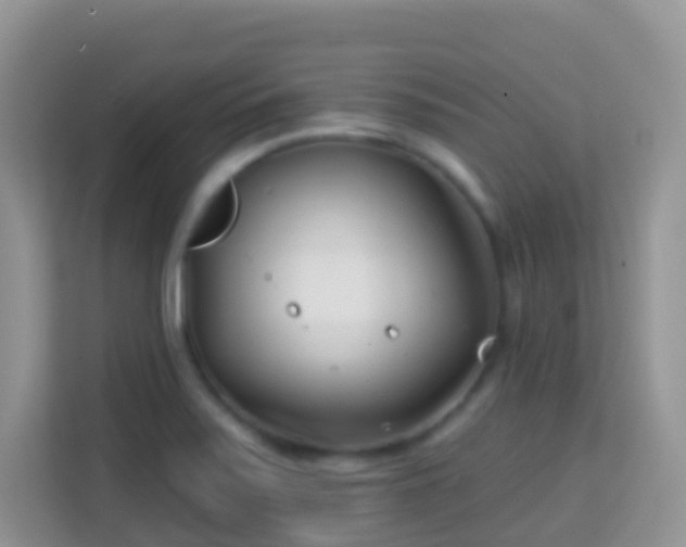 X0000114201371200910091244