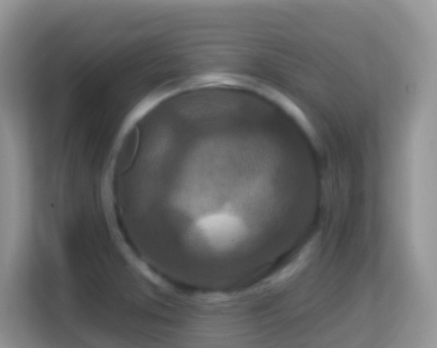 X0000114201373200910091244