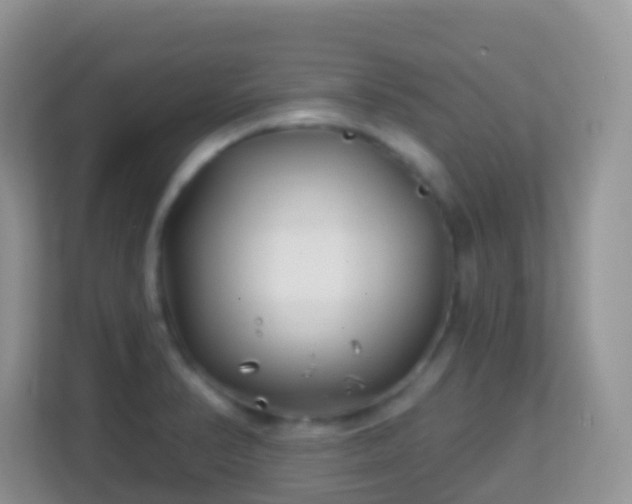 X0000114201374200910091244