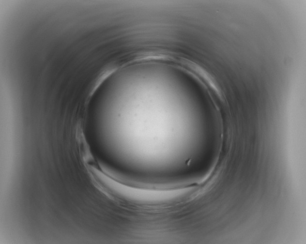 X0000114201377200910091244