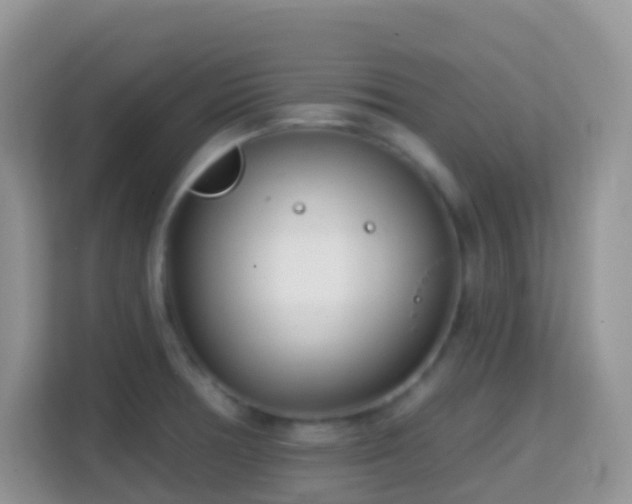 X0000114201378200910091244
