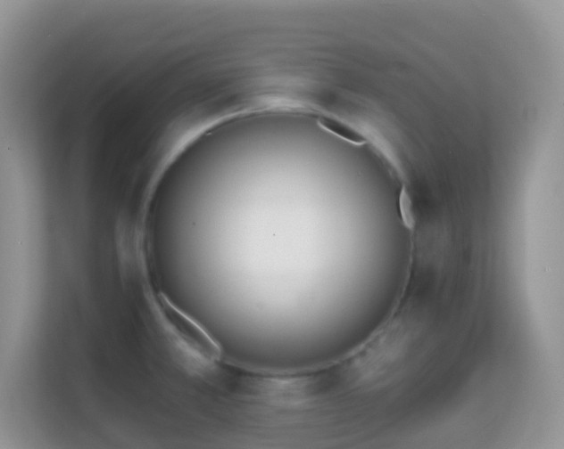 X0000114201381200910091244