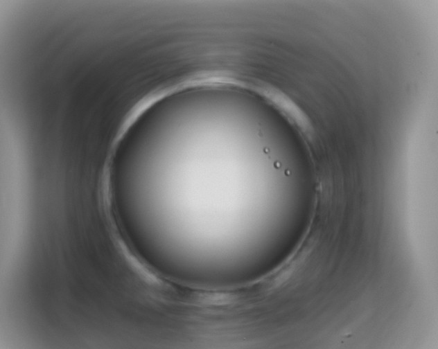 X0000114201382200910091244