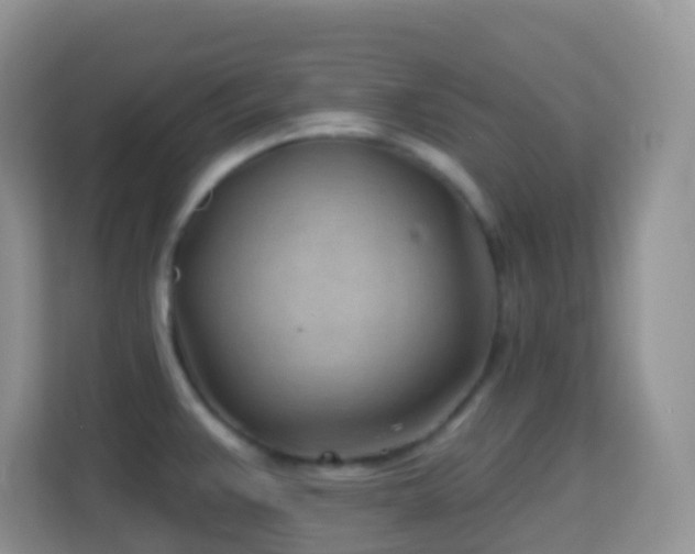 X0000114201383200910091244