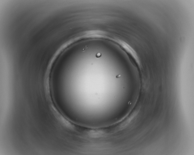 X0000114201384200910091244