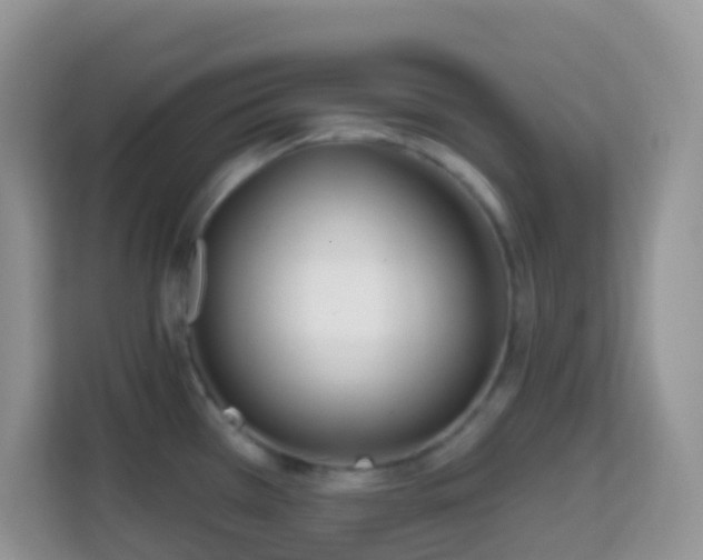 X0000114201385200910091244