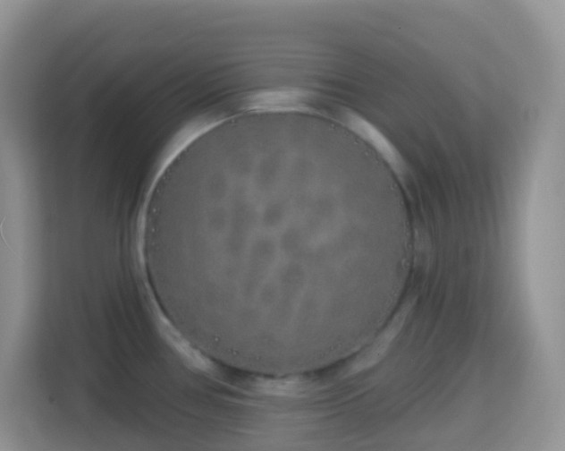 X0000114201386200910091244