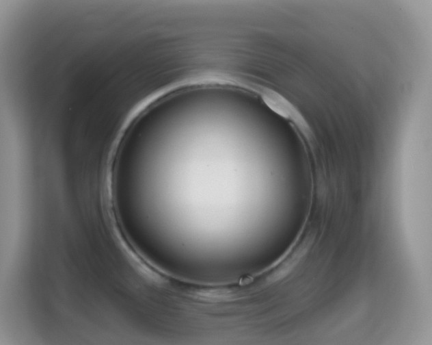 X0000114201388200910091244