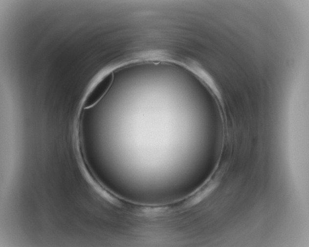 X0000114201389200910091244