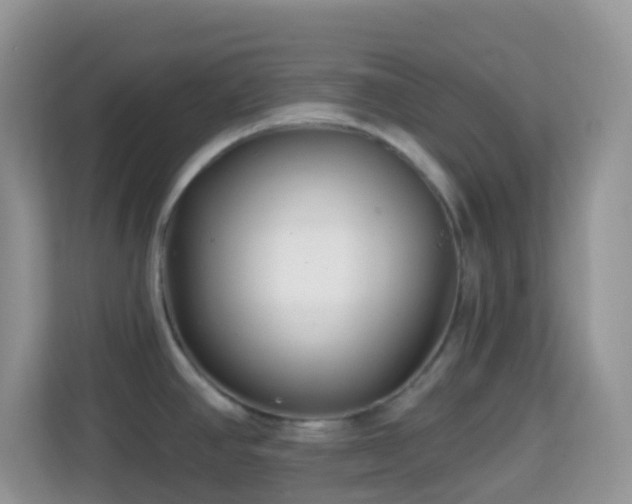 X0000114201390200910091244