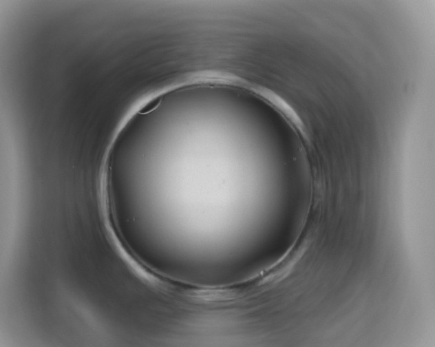 X0000114201391200910091244