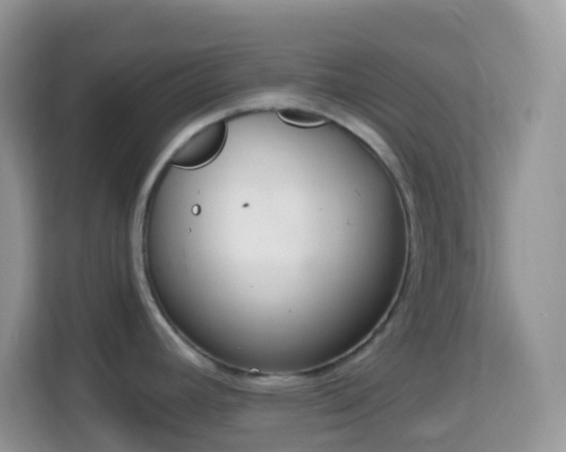 X0000114201392200910091244