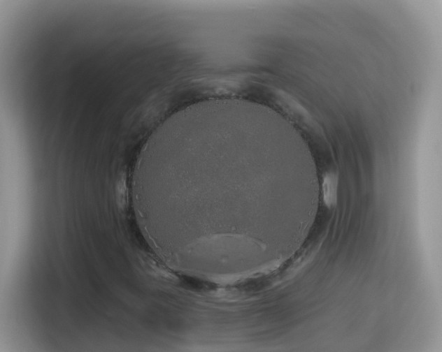 X0000114201395200910091243