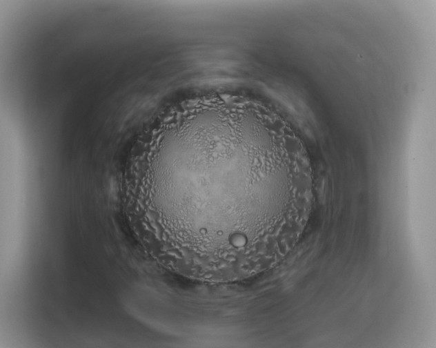 X0000114201397200910091243