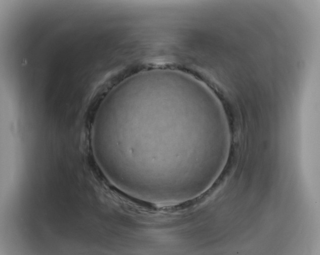 X0000114201398200910091243