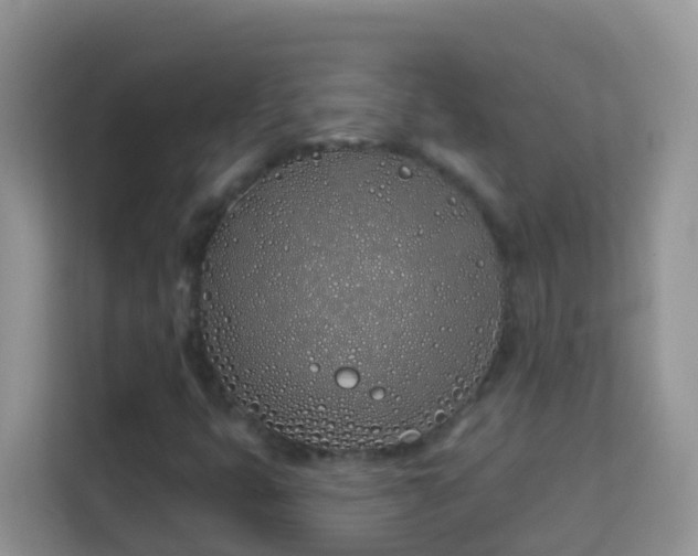 X0000114201399200910091243