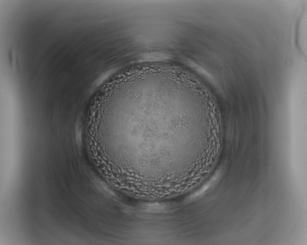 X0000114201401200910091243