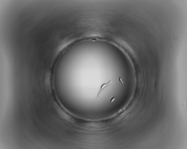 X0000114201404200910091243